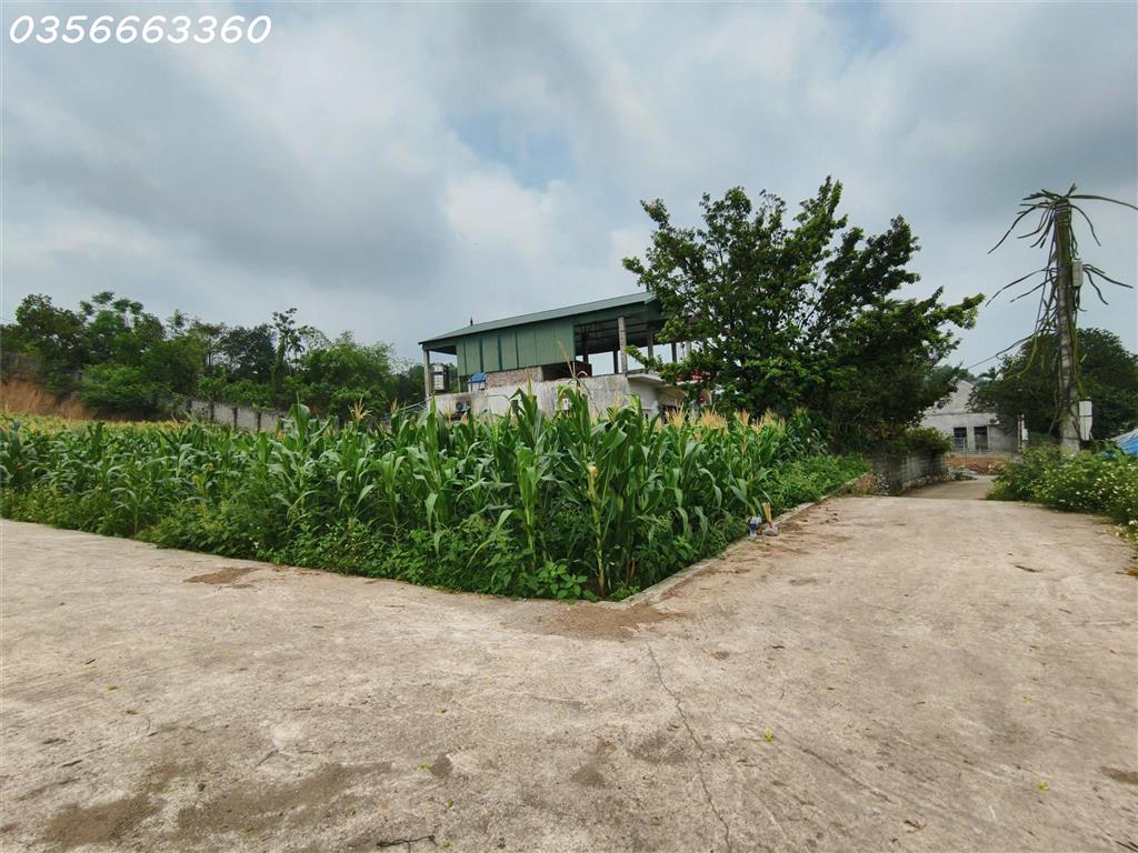CHÍNH CHỦ BÁN LÔ GÓC 2 MẶT TIỀN TẠI XÃ MỸ ĐỨC – HÀ NỘI, DT 88,2m² FULL THỔ CƯ