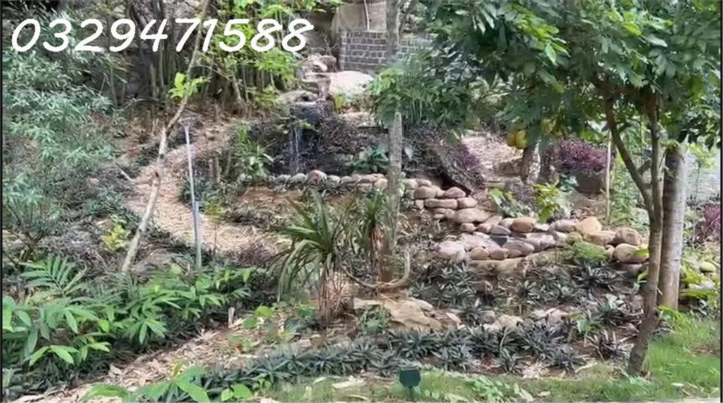Chính chủ cho thuê nhà vườn tại xã Lạc Lương, Phú Thọ, DT 450m2 ( thổ cư )