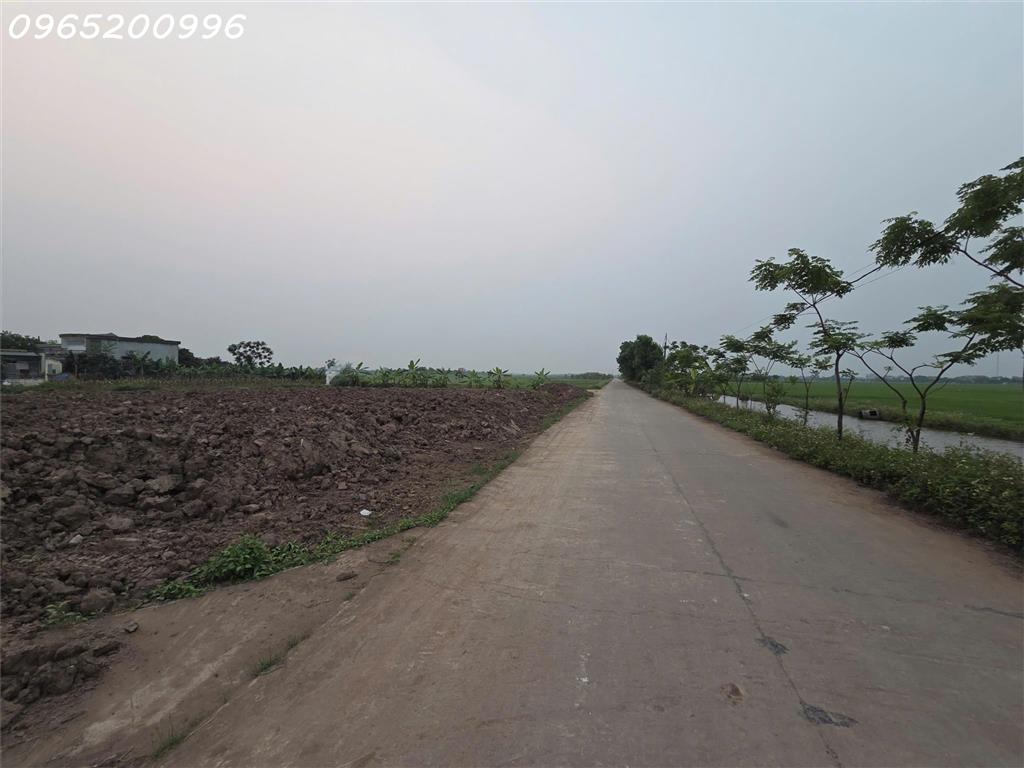 Bán đất 150m2 tại Khánh Hội, Yên Khánh, Ninh Bình, chính chủ hàng hiếm, 3,9 tỷ