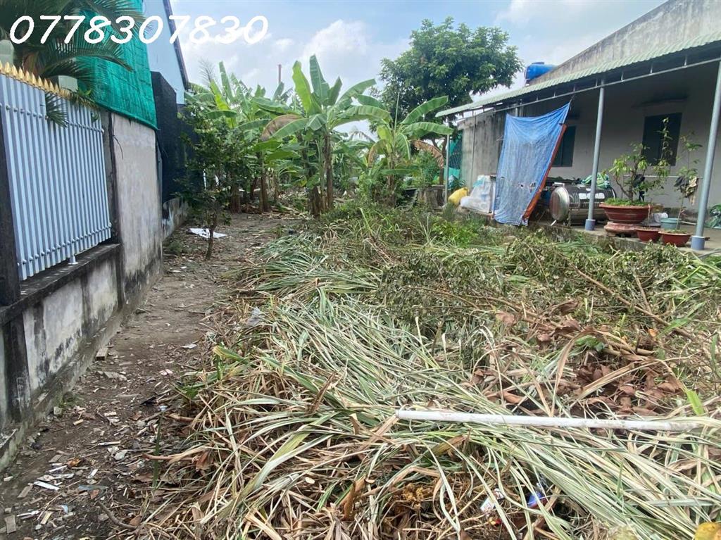 Bán lô đất siêu đẹp tại xã Bình Tâm, Tân An, Long An, DT 325m2, giá đầu tư