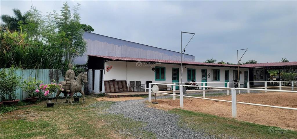 Cho thuê đất làm kho, nhà xưởng diện tích 6000m2, giá thỏa thuận tại tam đa, thủ đức.