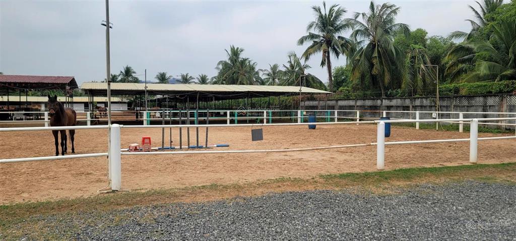 Cho thuê đất làm kho, nhà xưởng diện tích 6000m2, giá thỏa thuận tại tam đa, thủ đức.