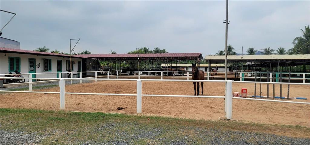 Cho thuê đất làm kho, nhà xưởng diện tích 6000m2, giá thỏa thuận tại tam đa, thủ đức.