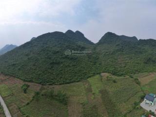 Bán đất resort  du lịch cúc phương