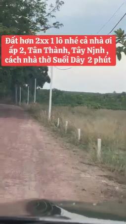 Bán đất tân thành, tân châu, giá cực tốt, vị trí tốt, thích hợp đầu tư!