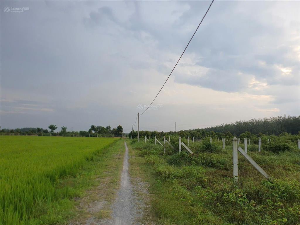 Bán đất thổ cư ấp 7 bàu đồn, gò dầu, tây ninh