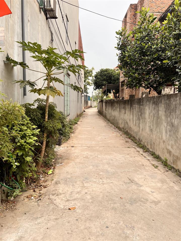 Bán lô đất khu tân thịnh, phường bồng lai, ngay sát kcn quế võ mở rộng 2