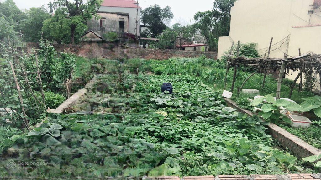 4 đồng vào việc luôn, 109m2 mt ~5m ô tô vào đất  phủ lỗ, sóc sơn, hà nội