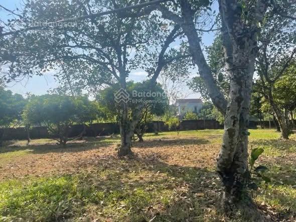 Chỉ hơn 7 triệu/m2 sở hữu ngay 5400m2 tại minh phú, kim anh. làm villa homstay khu nghỉ dưỡng đỉnh