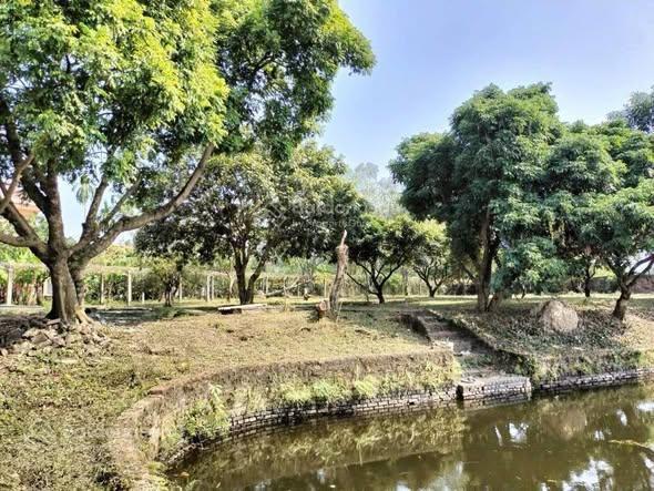 Chỉ hơn 7 triệu/m2 sở hữu ngay 5400m2 tại minh phú, kim anh. làm villa homstay khu nghỉ dưỡng đỉnh