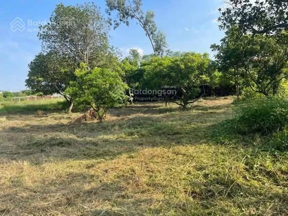 Chỉ hơn 7 triệu/m2 sở hữu ngay 5400m2 tại minh phú, kim anh. làm villa homstay khu nghỉ dưỡng đỉnh