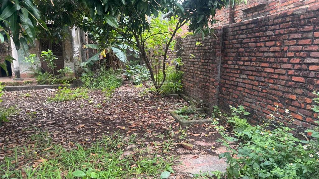 F0 đất đông xuân  150m  chỉ 3.75  mà full thổ cư  xây biệt thự sân vườn   0986 741 ***