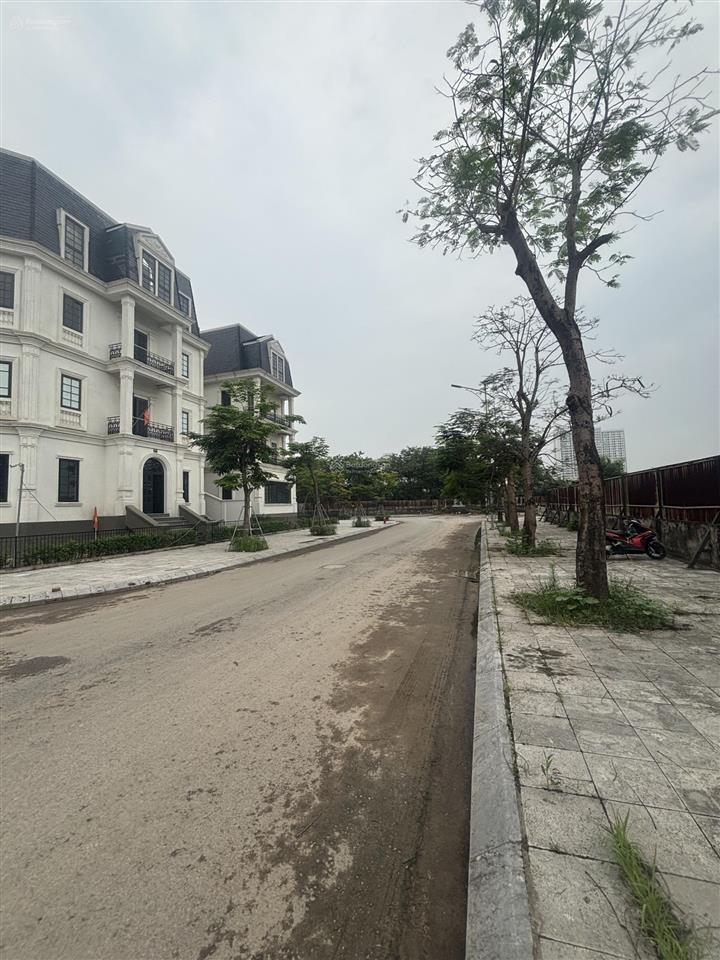 Mình chính chủ cần bán liền kề shophouse lô góc, cạnh 8 toà chung cư đang xây dựng