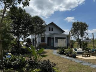 Chính chủ gửi bán nhà vườn mới xây,916m2 ,sổ hoàn công