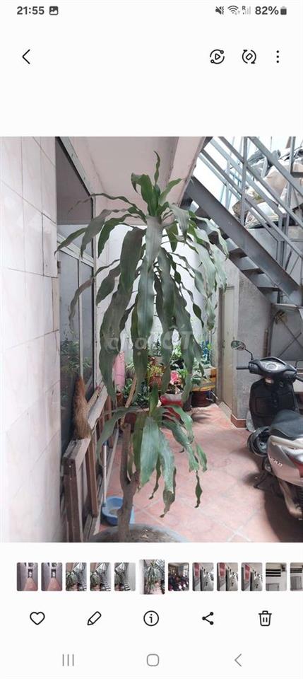 phòng trọ quận Bình Thạnh giá 2,6 trieu