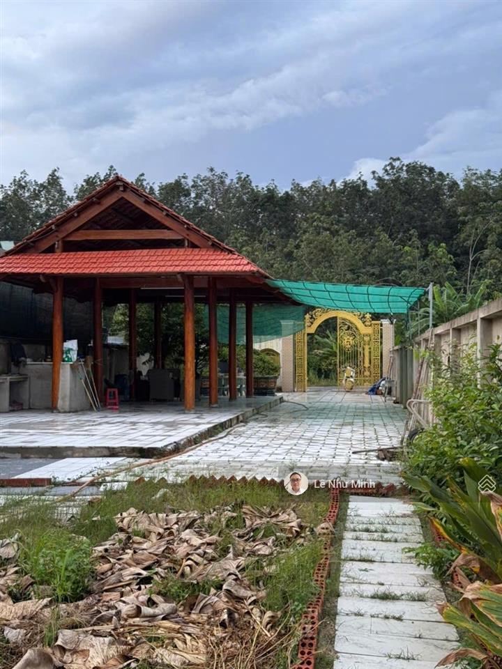 3,3 tỷ  493,8m2  bán nhà vườn mt đường tân hiệp10 p.tân hiệp tp.hcm (p.tân hiệp, tp.tân uyên cũ)