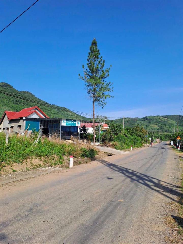 445m2 mặt tiền Hương Lộ 62, ngay nhà thờ Diên Tân, 2 mặt tiền