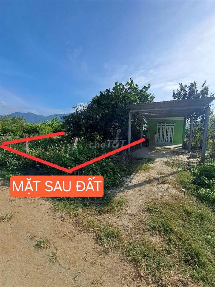 445m2 mặt tiền Hương Lộ 62, ngay nhà thờ Diên Tân, 2 mặt tiền