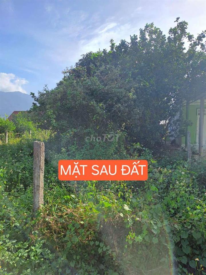 445m2 mặt tiền Hương Lộ 62, ngay nhà thờ Diên Tân, 2 mặt tiền
