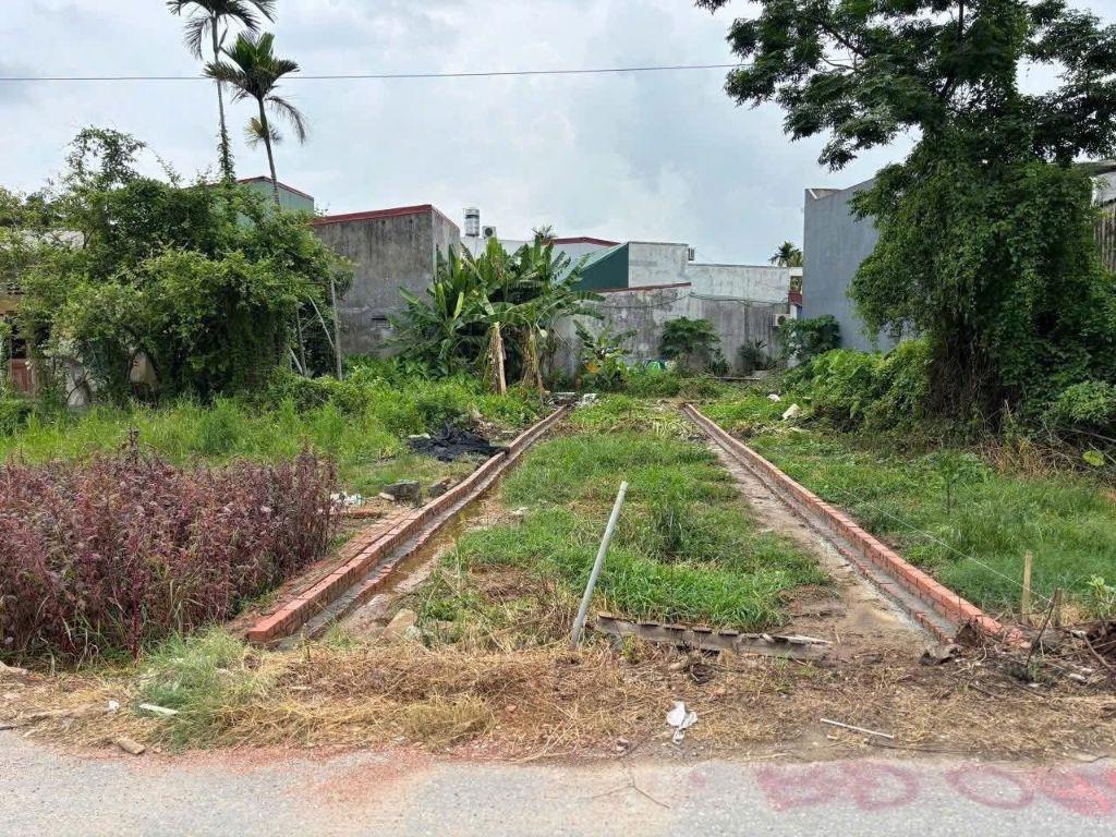 📣 BÁN LÔ ĐẤT TUYẾN 2 CÁT VŨ – TRÀNG CÁT 93,9M2 GIÁ CHỈ 26,5TR/M2