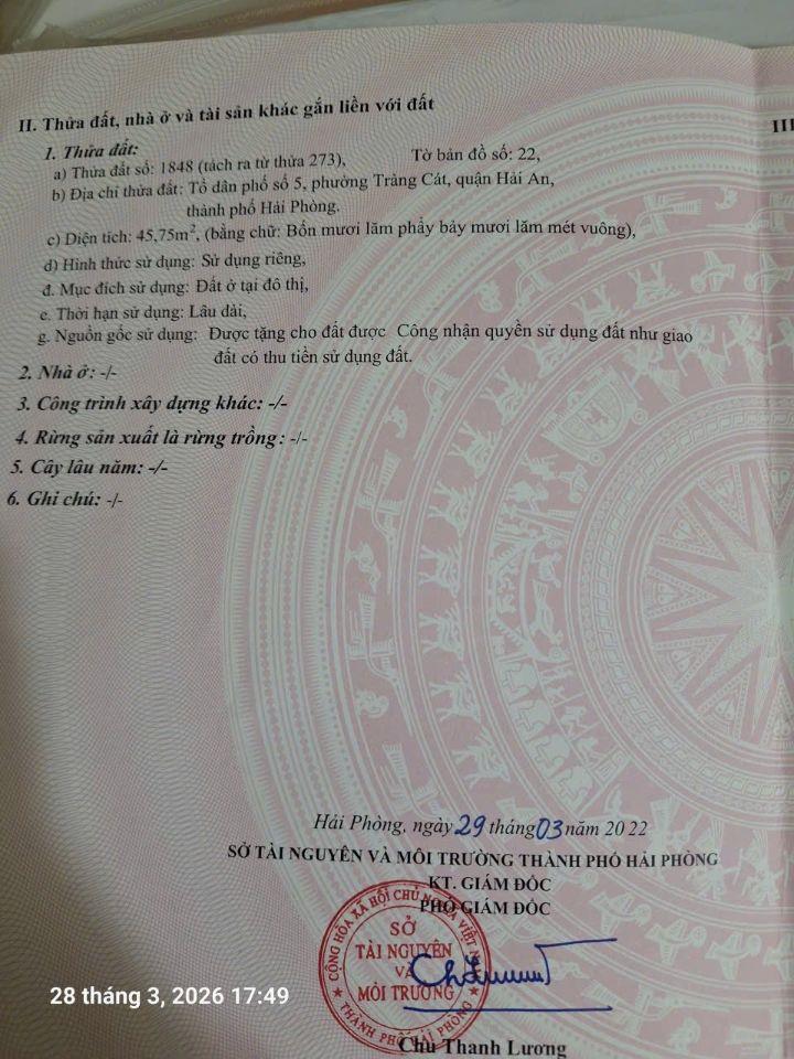 🔥 BÁN ĐẤT MẶT NHÁNH CHỢ CÁT VŨ – TRÀNG CÁT 🔥