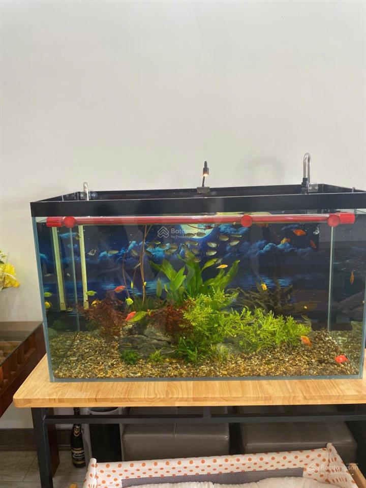 Hemísco xa la 88m2, 2 phòng ngủ, 2vs, sổ đỏ, view đẹp giá hơn 5 tỷ.  em định 0878 800 ***