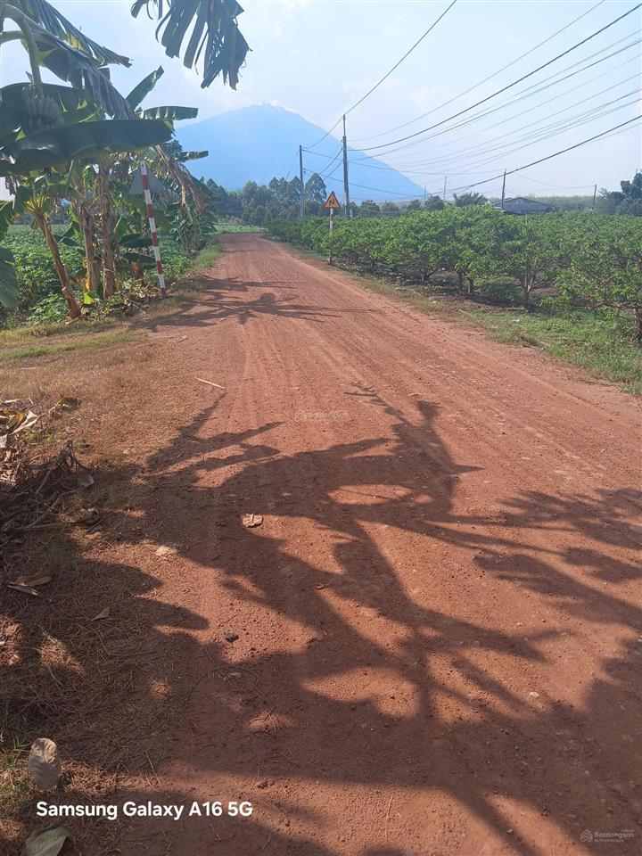 Bán đất 2600m2 (80x40) xã phan,dương minh châu, tây ninh. giá chỉ 3 tỷ hết đất