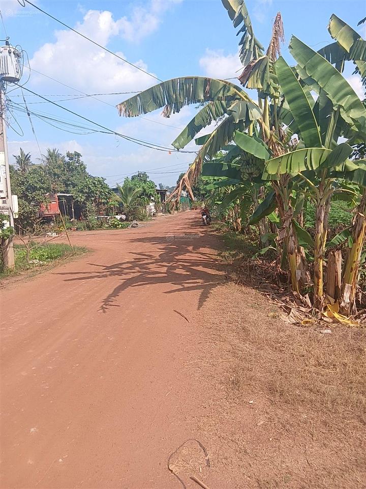 Bán đất 2600m2 (80x40) xã phan,dương minh châu, tây ninh. giá chỉ 3 tỷ hết đất