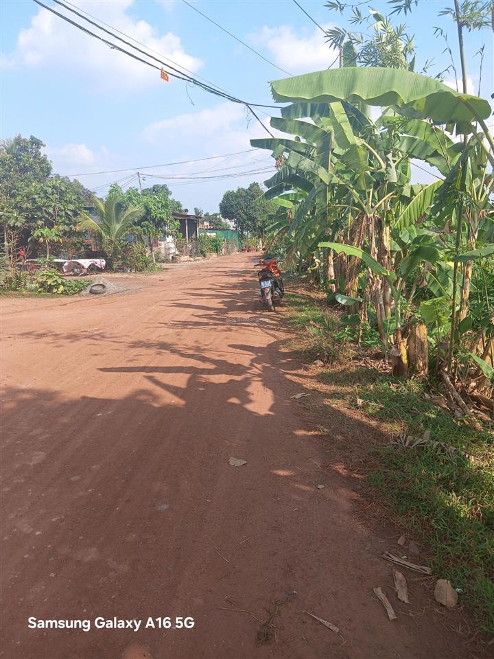 Bán đất 2600m2 (80x40) xã phan,dương minh châu, tây ninh. giá chỉ 3 tỷ hết đất