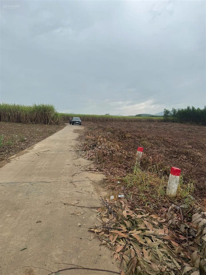 Bán đất xây xây nhà vườn thôn đồng trăn 3 xã diên lâm diên khánh. nha trang cách nha trang chỉ 30p