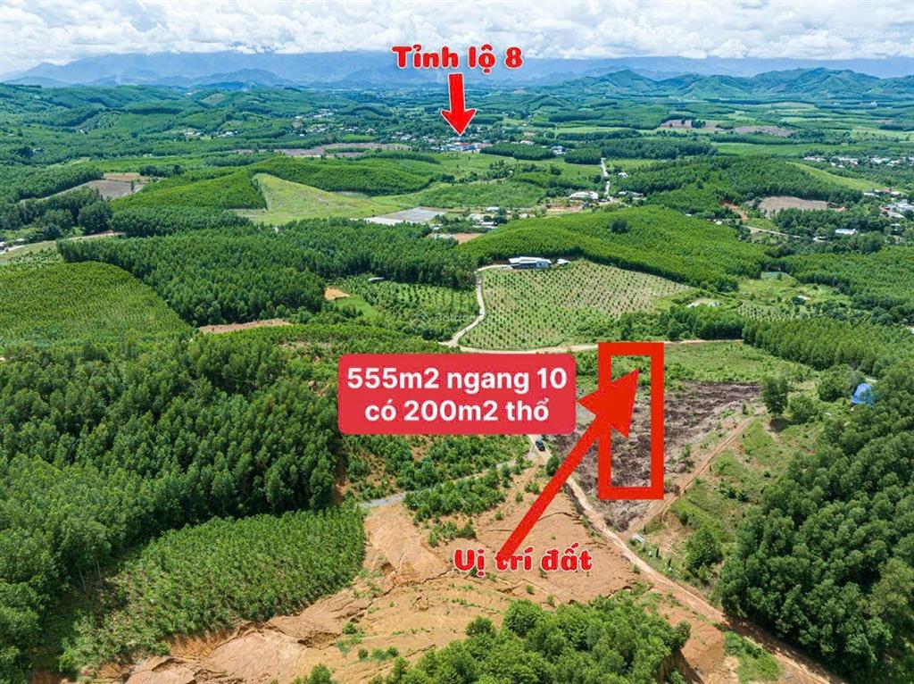 Gấp  xả lỗ lô khánh đông đường liên thôn chỉ 700k/m2