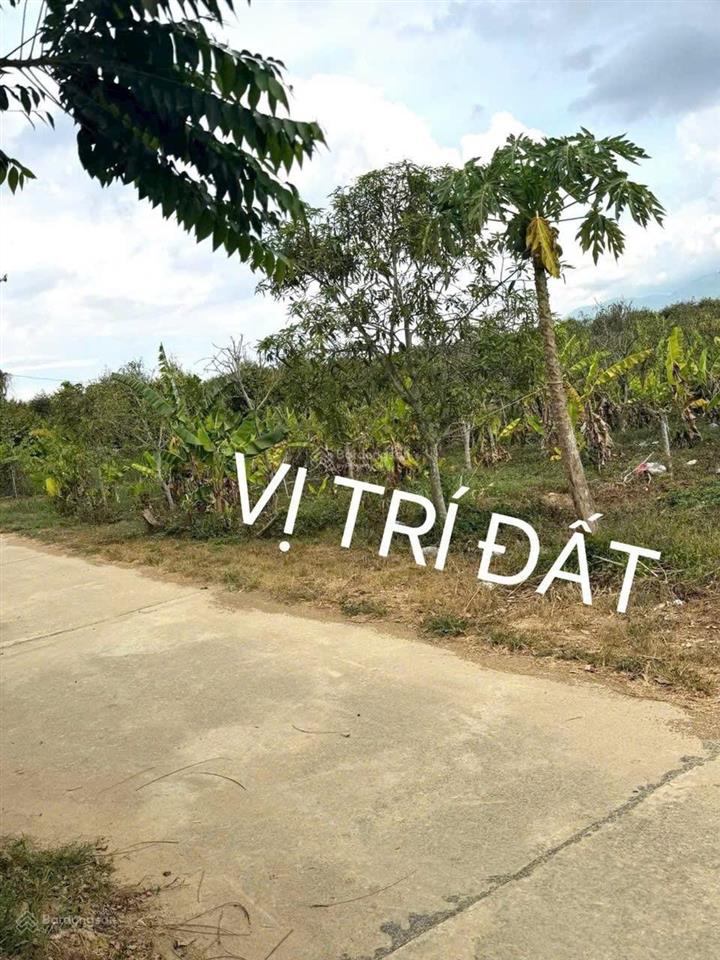 Siêu rẻ cần tiền bán gấp đất thổ cư sông cầu khánh vĩnh