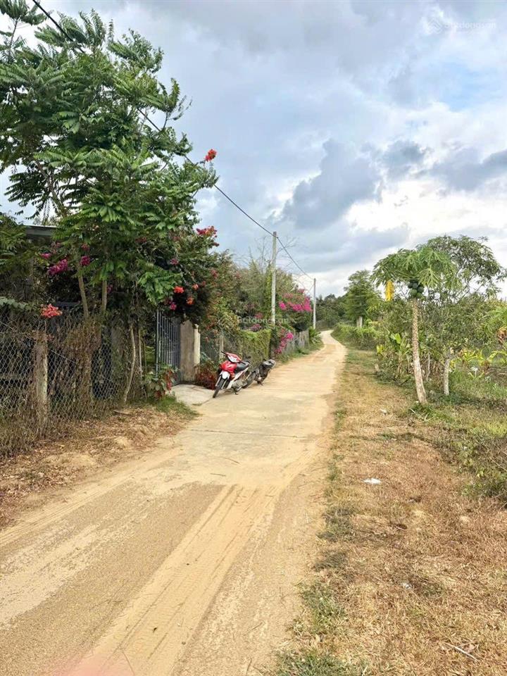 Siêu rẻ cần tiền bán gấp đất thổ cư sông cầu khánh vĩnh