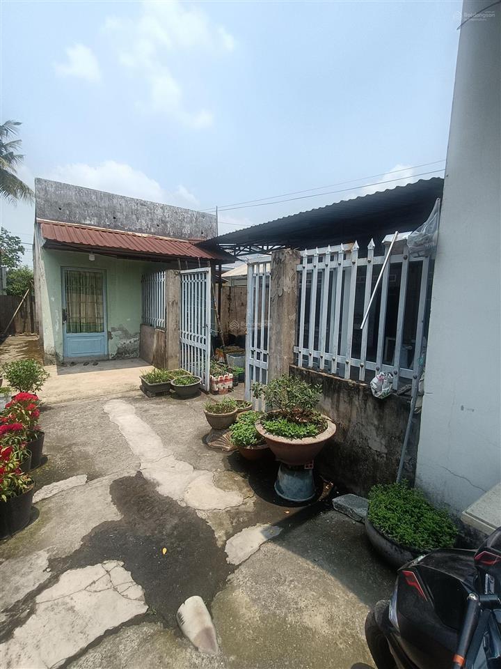 Bán nhà cấp 4 tân hiệp 240m2 cách mặt tiền tân hiệp 4 chỉ 20m  giá siêu rẻ 4,5 tỷ thương lượng