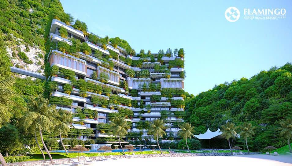 Cắt lỗ bán gấp căn hộ view biển flamingo cát bà (giá chỉ 1,65 tỷ)