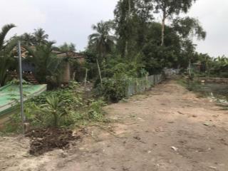 Bán 1900m2 đất vườn tại xóm cốm, ấp 1, xã mỹ thạnh, thủ thừa, long an