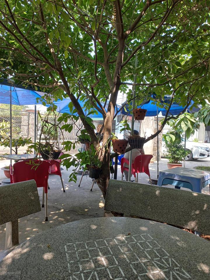 Bán đất mặt tiền đh602 diện tích khủng 10x95m  đang sẵn dòng tiền cho thuê cafe 10tr/tháng