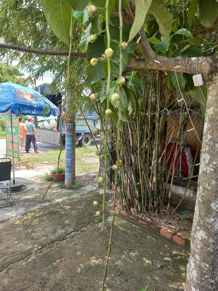 Bán đất mặt tiền đh602 diện tích khủng 10x95m  đang sẵn dòng tiền cho thuê cafe 10tr/tháng