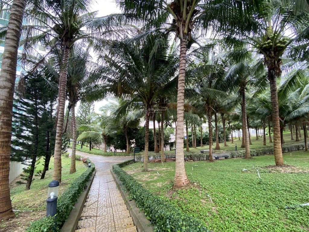 Bán căn hộ ocean vista, 1,8 tỷ, 40 m2, tại nguyễn đình chiểu, phú hài, phan thiết
