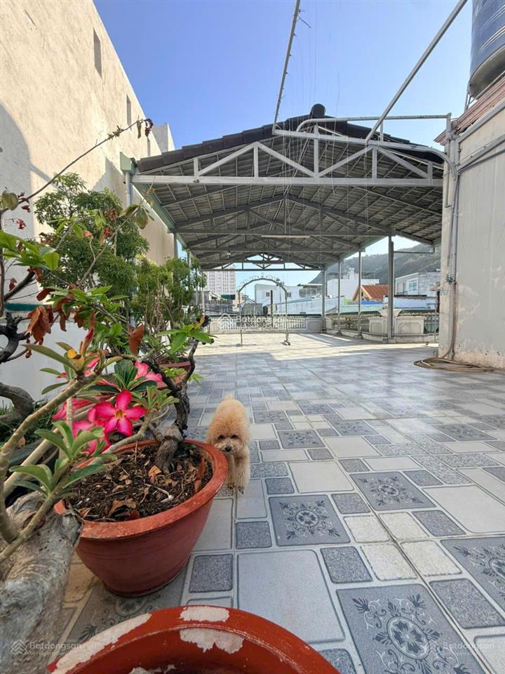 Nợ ngân hàng cần bán gấp nhà lê lợi dt 175.6m2 (~52 triệu/m2) 1 trệt 1lầu vị trí trung tâm vũng tàu