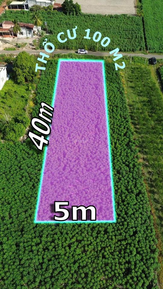 Cần bán đất mặt tiền tân phú tiềm năng đầu tư lâu dài  0982 383 ***