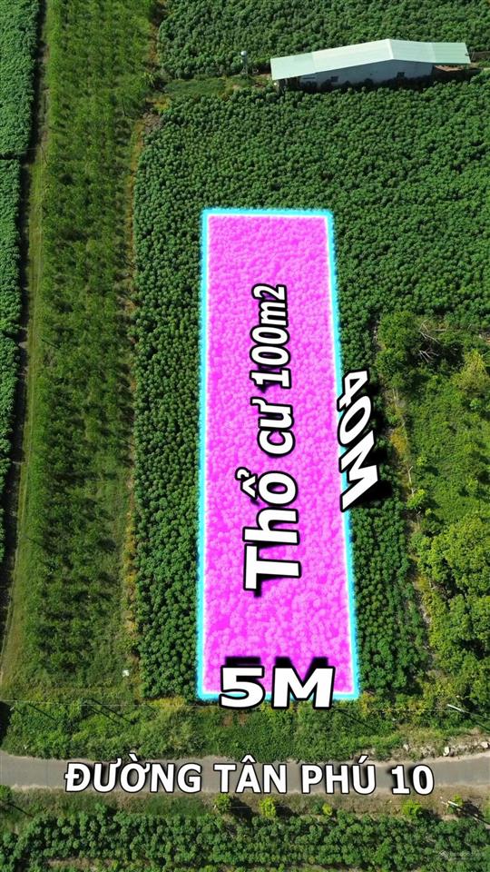 Cần bán đất mặt tiền tân phú tiềm năng đầu tư lâu dài  0982 383 ***