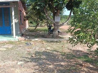 Chính chủ bán nhà mặt tiền cấp 4 và đất rộng 10mx70m vuông vứt, đường dh1 xã cầu khởi