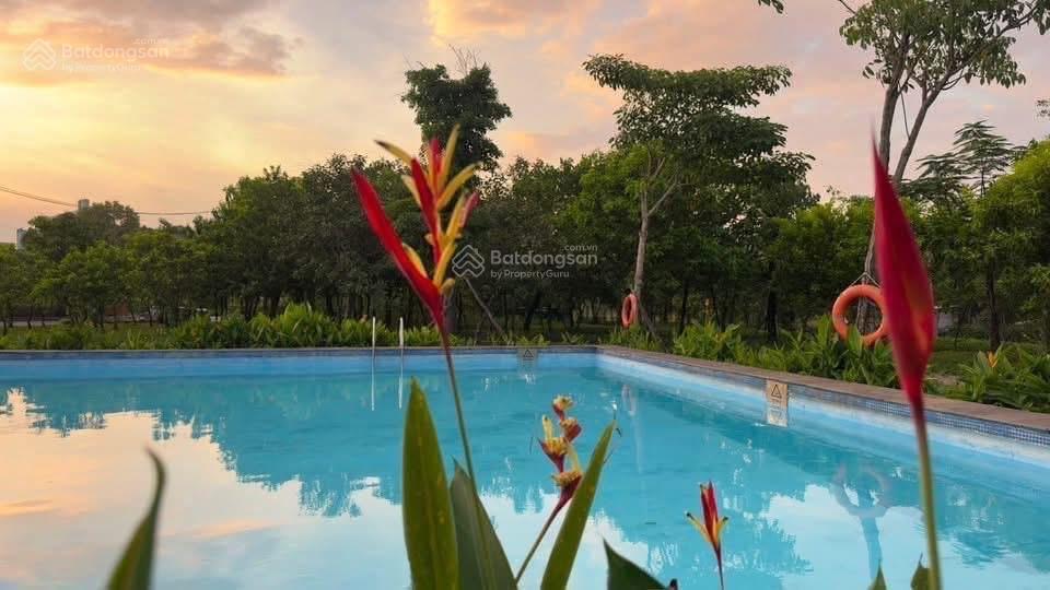 Chung cư mini cho thuê tại dragon village, 2,5 triệu, 30m2, 1pn + 1wc/pt giá tốt
