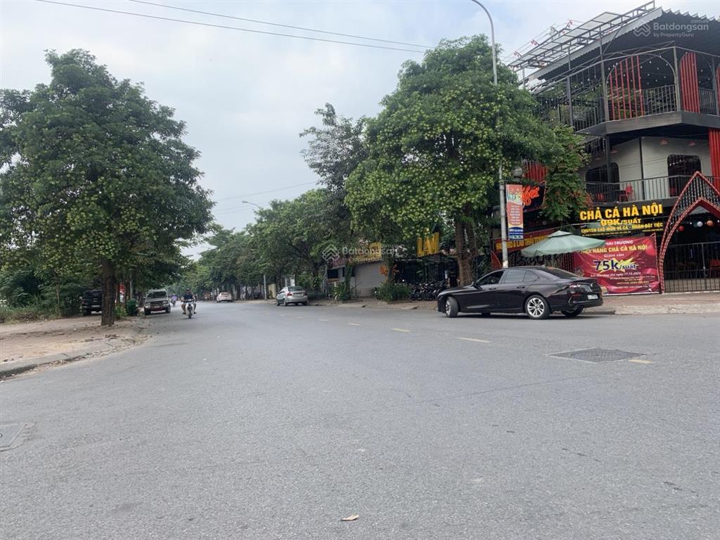 Bán gấp biệt thự khu 31ha, trâu quỳ, gia lâm. dt 260m2/mt12.8m kinh doanh ổn định giá 39 tỷ