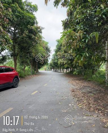 Bán đất biệt thự khai sơn quốc lộ 17 p. song liễu bắc ninh dt 621m2 mặt tiền 25m giá 45tr/m2