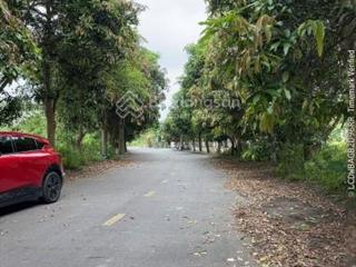 Bán đất biệt thự khai sơn quốc lộ 17 p. song liễu bắc ninh dt 621m2 mặt tiền 25m giá 45tr/m2