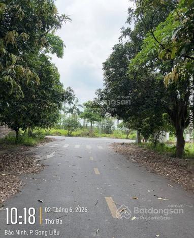 Bán đất biệt thự khai sơn quốc lộ 17 p. song liễu bắc ninh dt 621m2 mặt tiền 25m giá 45tr/m2
