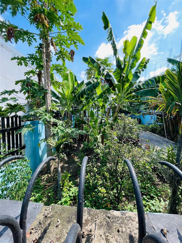 Bán đất linh đông lô góc 311m2 ngang 12m view sông gần vành đai 2 hợp làm kho xưởng, biệt thự vườn