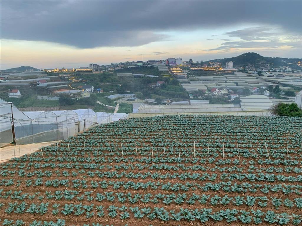 Bán đất đẹp tại gần hồ bơi thái bình dương, gần khu du lịch trạm ký ức giá 9 triệu / m2, 765 m2